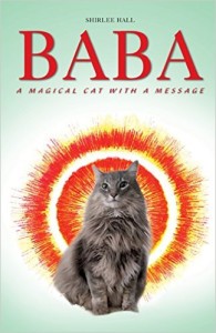 Baba - A Magical Cat with a Message